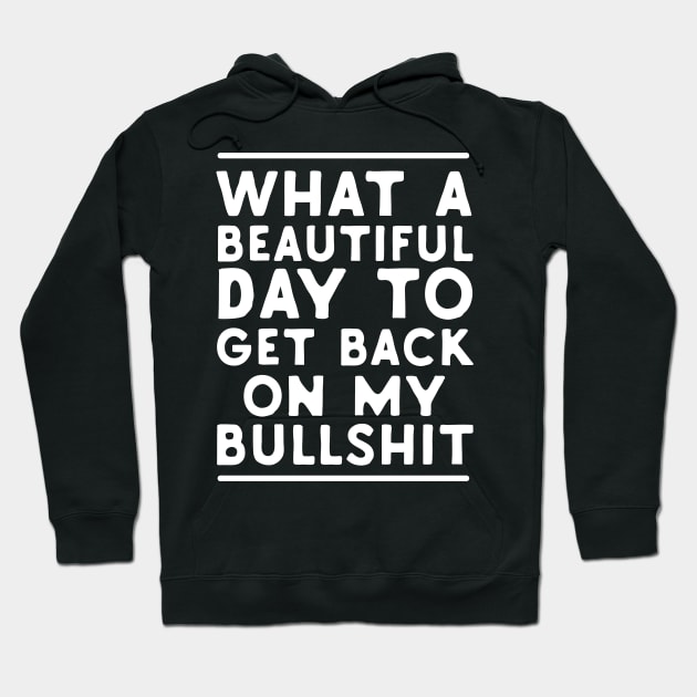 What A Beautiful Day To Get Back On My Bullshit Hoodie by Eugenex